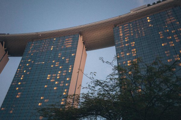 Comment un jeu de gestion de parc naturel peut-il sensibiliser à la protection des espèces menacées?